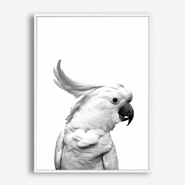 Cockatoo | Canvas Print