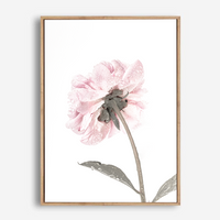 Bree | Canvas Print