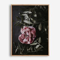 Deja | Canvas Print