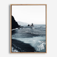 Titus | Canvas Print