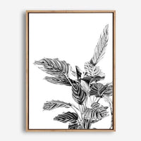 Indie II | Canvas Print