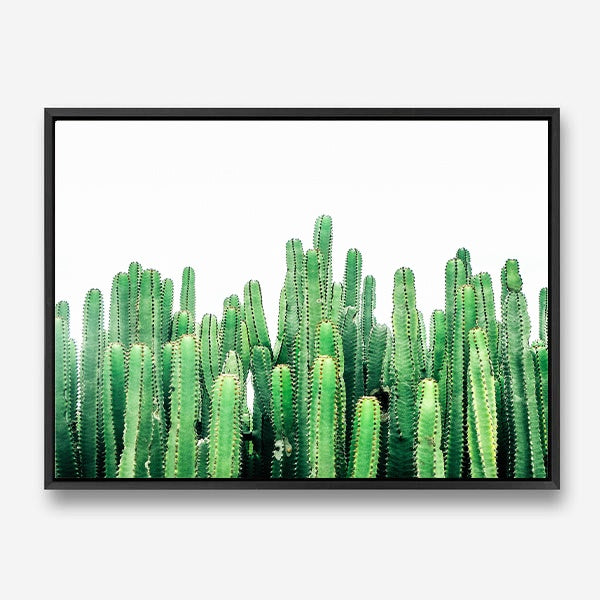 Coen | Canvas Print