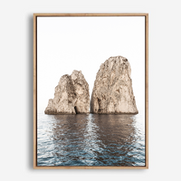 Angus | Canvas Print