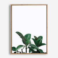 Rubber Plant | Canvas Print