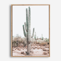 Bailey | Canvas Print