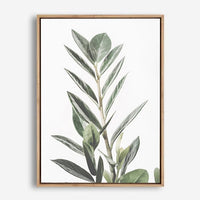 Charlo | Canvas Print