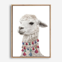 Baby Llama | Canvas Print