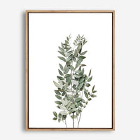 Judd | Canvas Print
