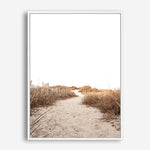 Sand Dunes | Canvas Print