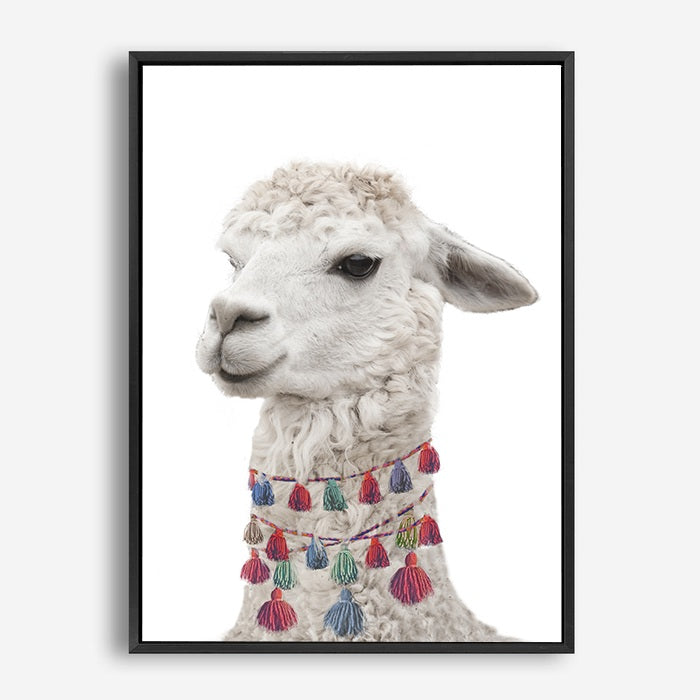 Baby Llama | Canvas Print