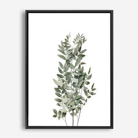 Judd | Canvas Print