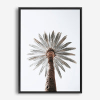 Silas | Canvas Print