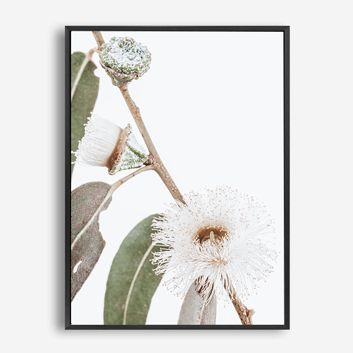 Elizabeth | Canvas Print