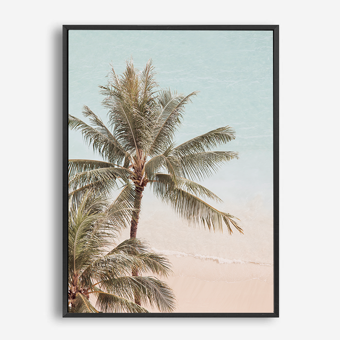 Amias | Canvas Print