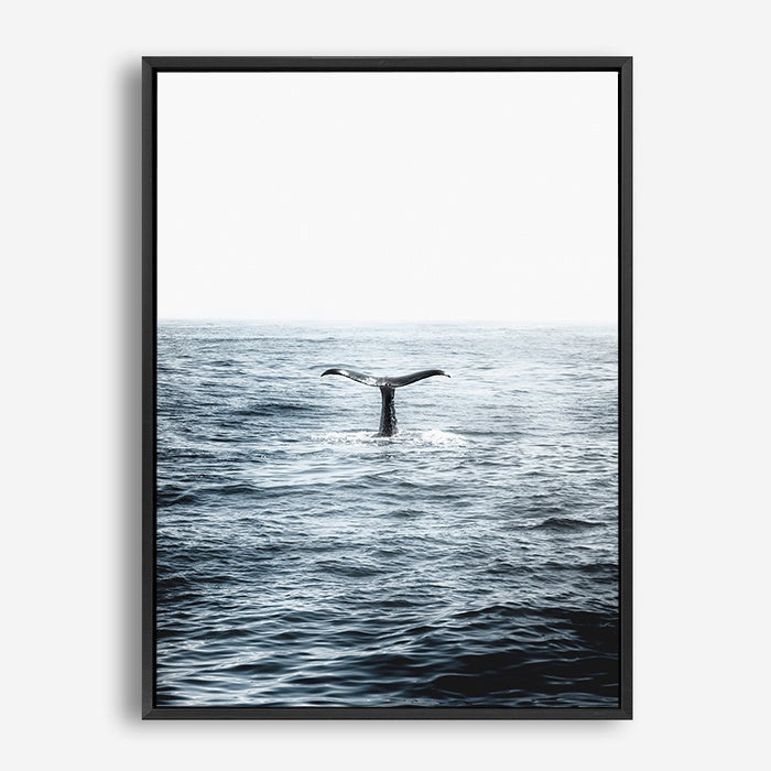 Humpback | Canvas Print