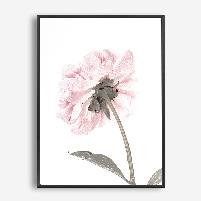 Bree | Canvas Print