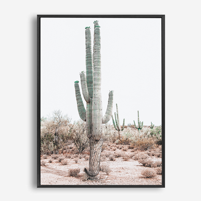 Bailey | Canvas Print