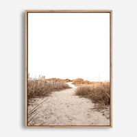 Sand Dunes | Canvas Print