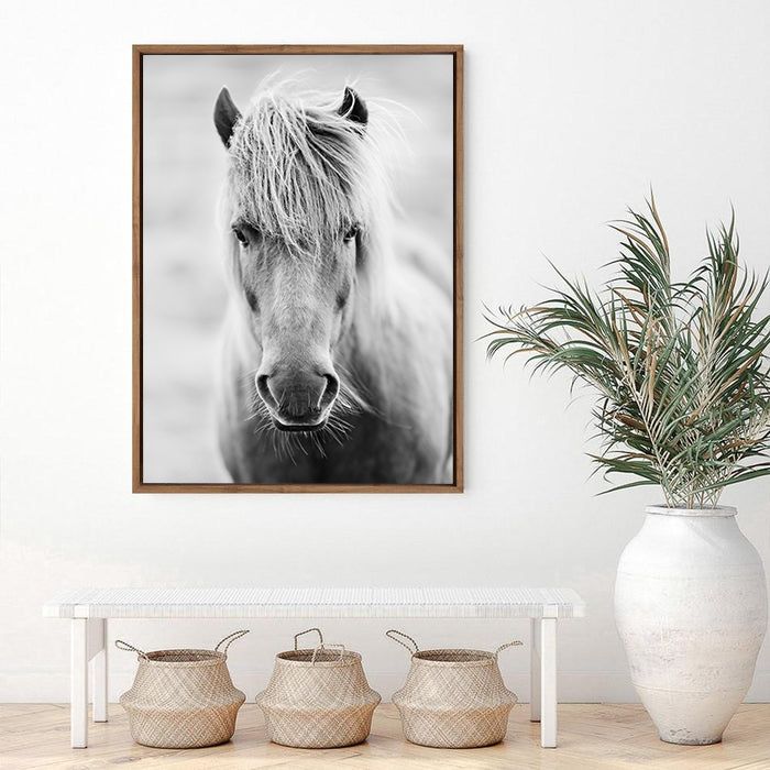 White Horse | Canvas Print