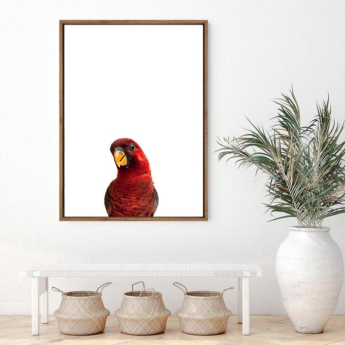 Parrot | Canvas Print