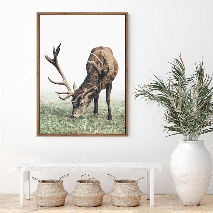 Doe | Canvas Print