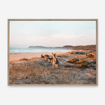 Kangaroos At Shore | Canvas Print