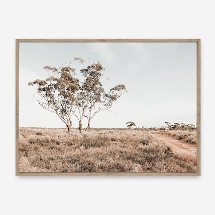 Outback Bush | Australian Landscape | Canvas Print