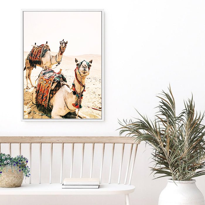 Desert Camels | Canvas Print