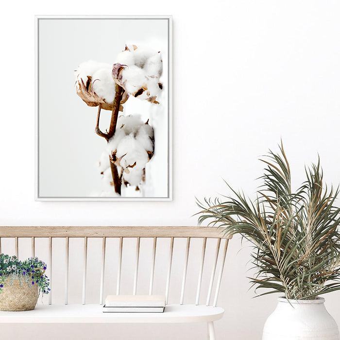 Cotton Plant | Canvas Print