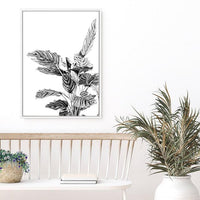 Indie II | Canvas Print