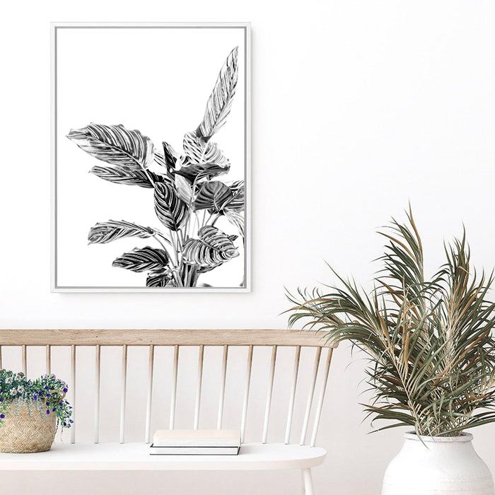 Indie II | Canvas Print
