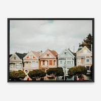 Painted Ladies | Canvas Print