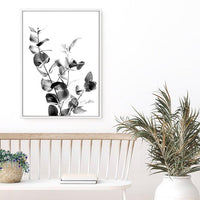 Indie I | Canvas Print