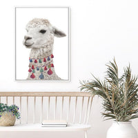 Baby Llama | Canvas Print