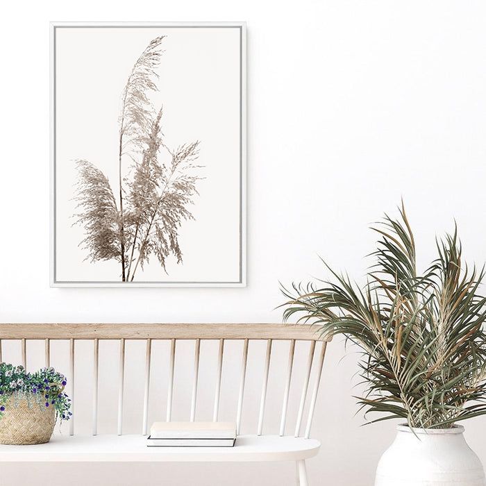 Pampas Grass | Canvas Print