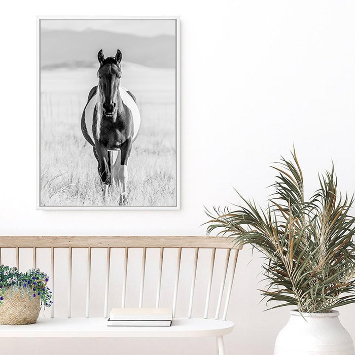 Western Wild Horse | Canvas Print