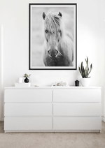 White Horse | Art Print