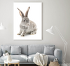 Baby Bunny II | Art Print