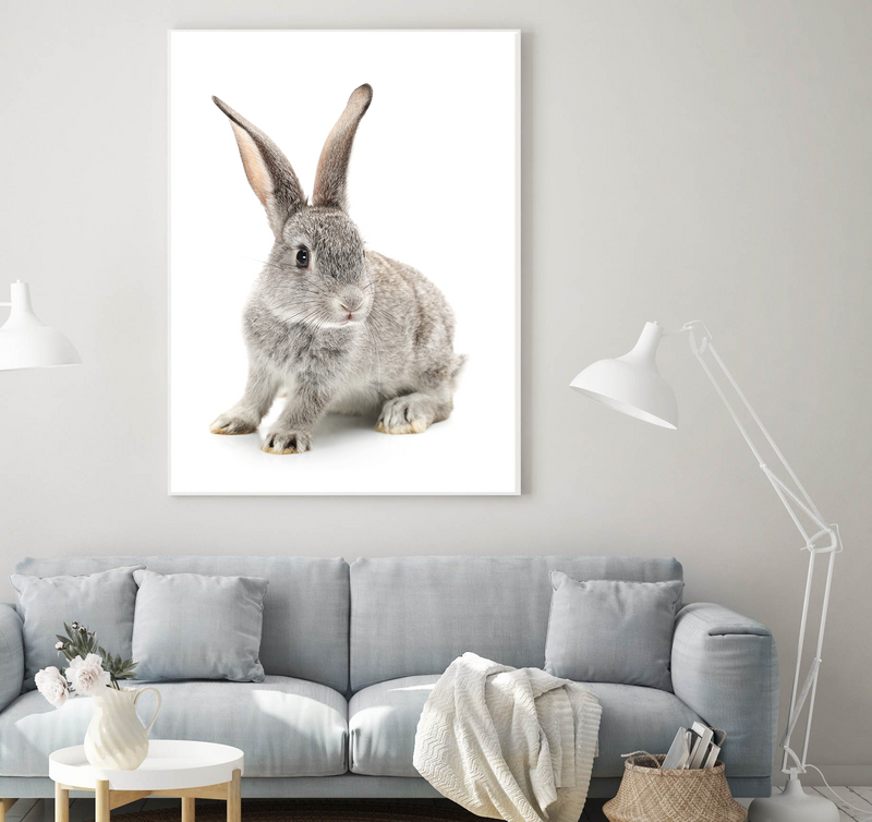 Baby Bunny II | Art Print