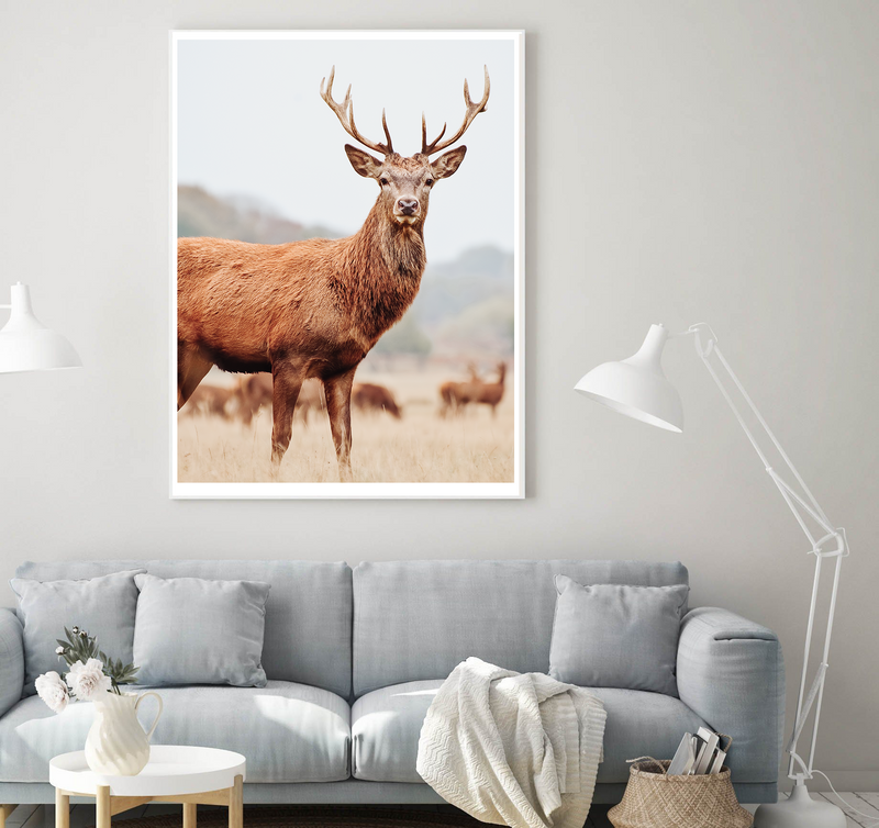 Mountain Stag II | Art Print