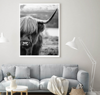 Highlander Cow | B&W | Art Print