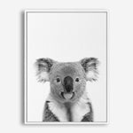Koala | Canvas Print