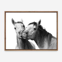 Eli | Canvas Print