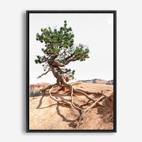 Nixon | Canvas Print