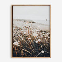 Noah | Canvas Print