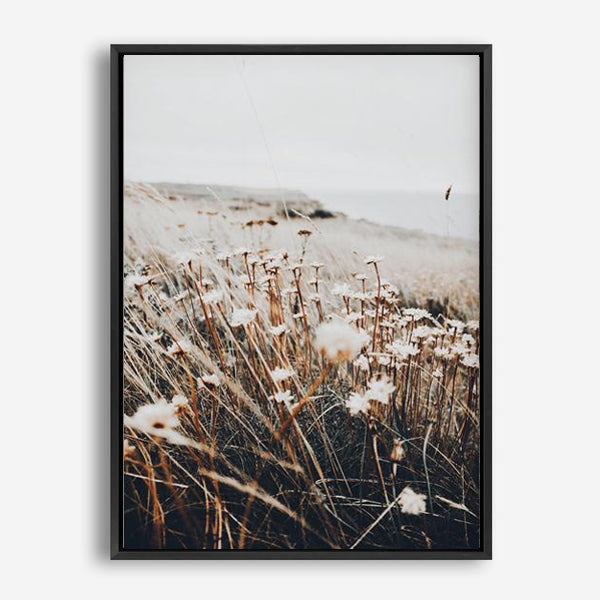 Noah | Canvas Print