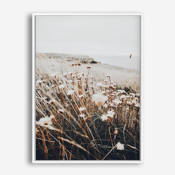 Noah | Canvas Print