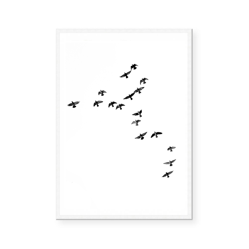 Birds | Art Print