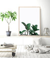 Rubber Plant | Art Print
