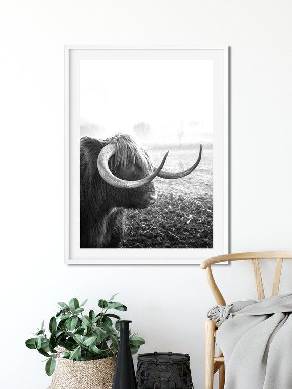 Highland Cow | Art Print